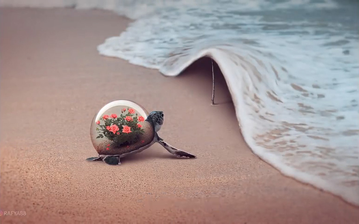 Photoshop合成海边海龟和被掀起的海浪场景图片教程